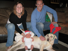 Our First Family Christmas Picture
