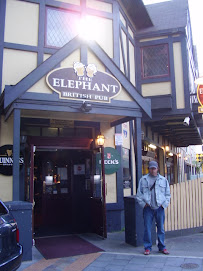 elephant pub, adelaide