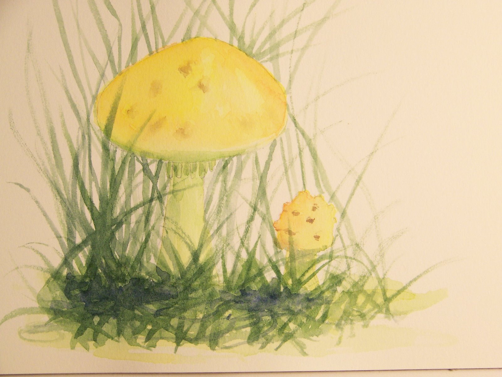 [Toadstools.jpg]