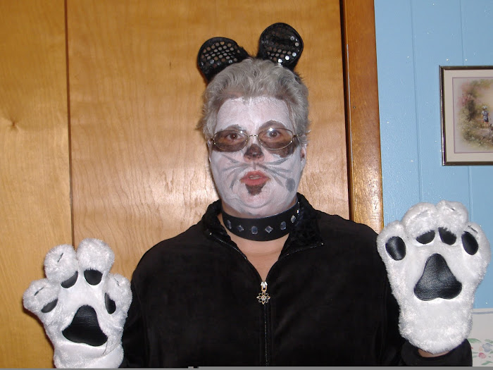 Me dressed like Sox