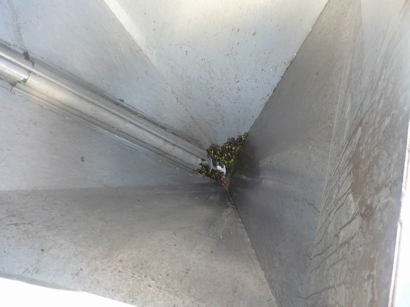 [Cambiar+tamañoDrecera+a+P1000599.JPG.jpg]