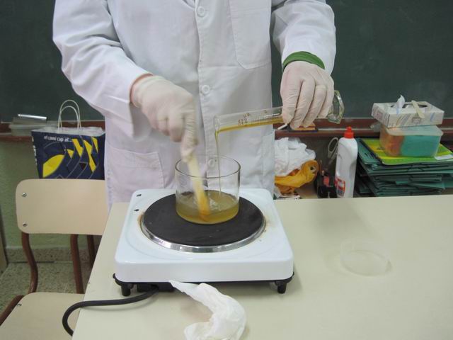 [Cambiar+tamañoIMG_0029.jpg]