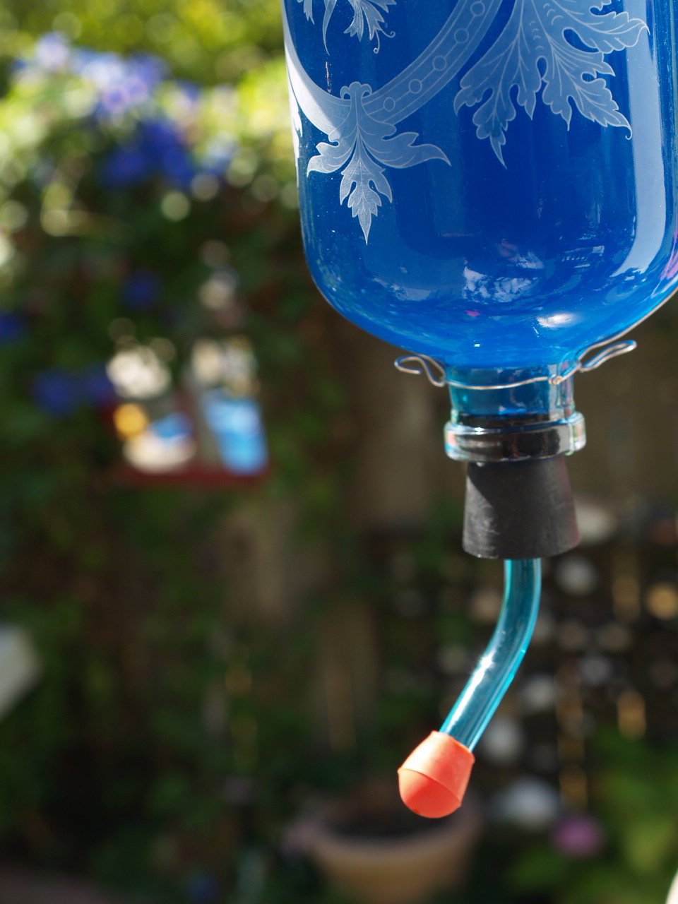 Make a Hummingbird Feeder. The Magic Onions