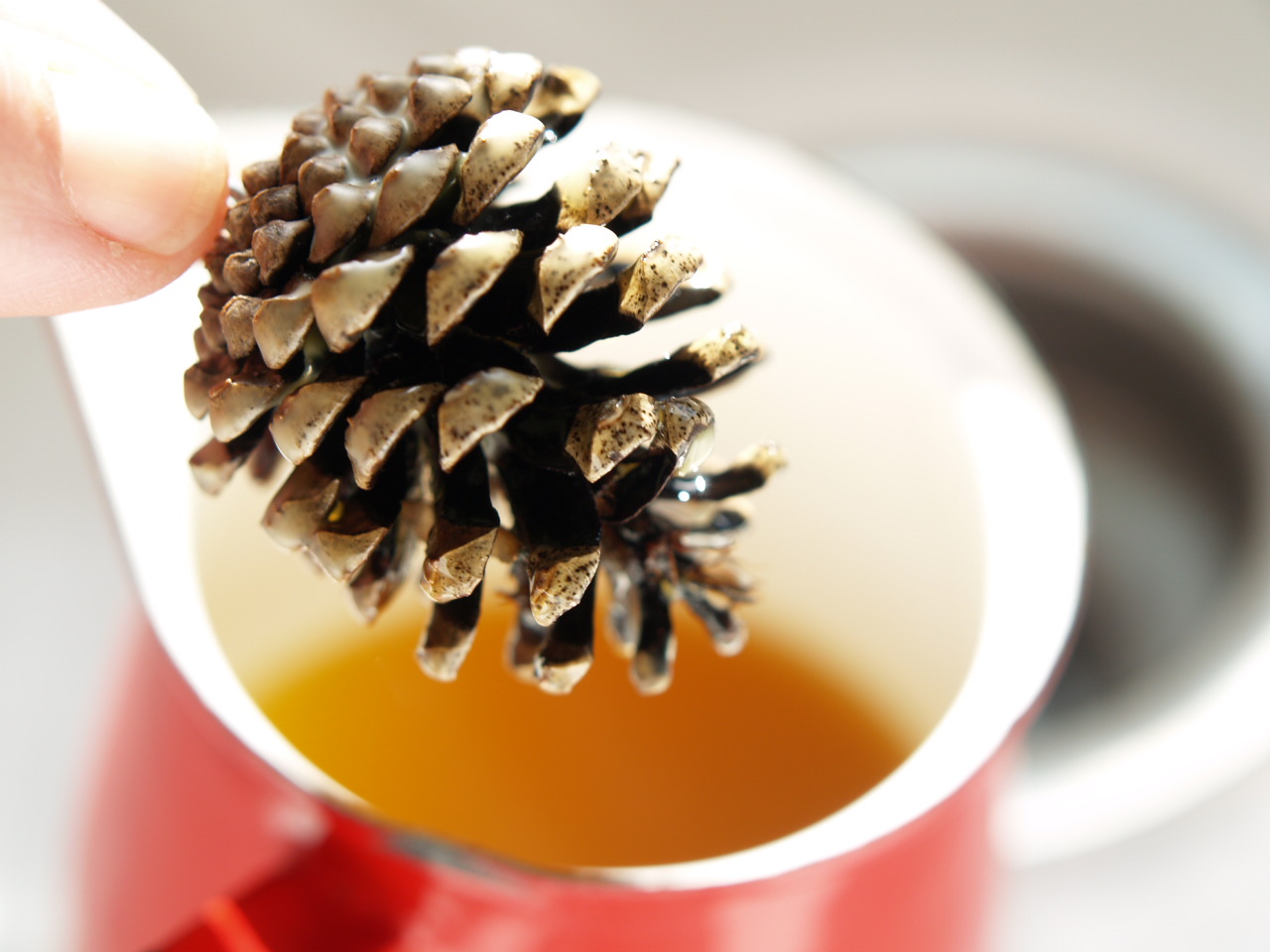 Natural Kids Kid Craft Waxdipped Pine Cone Ornaments.
