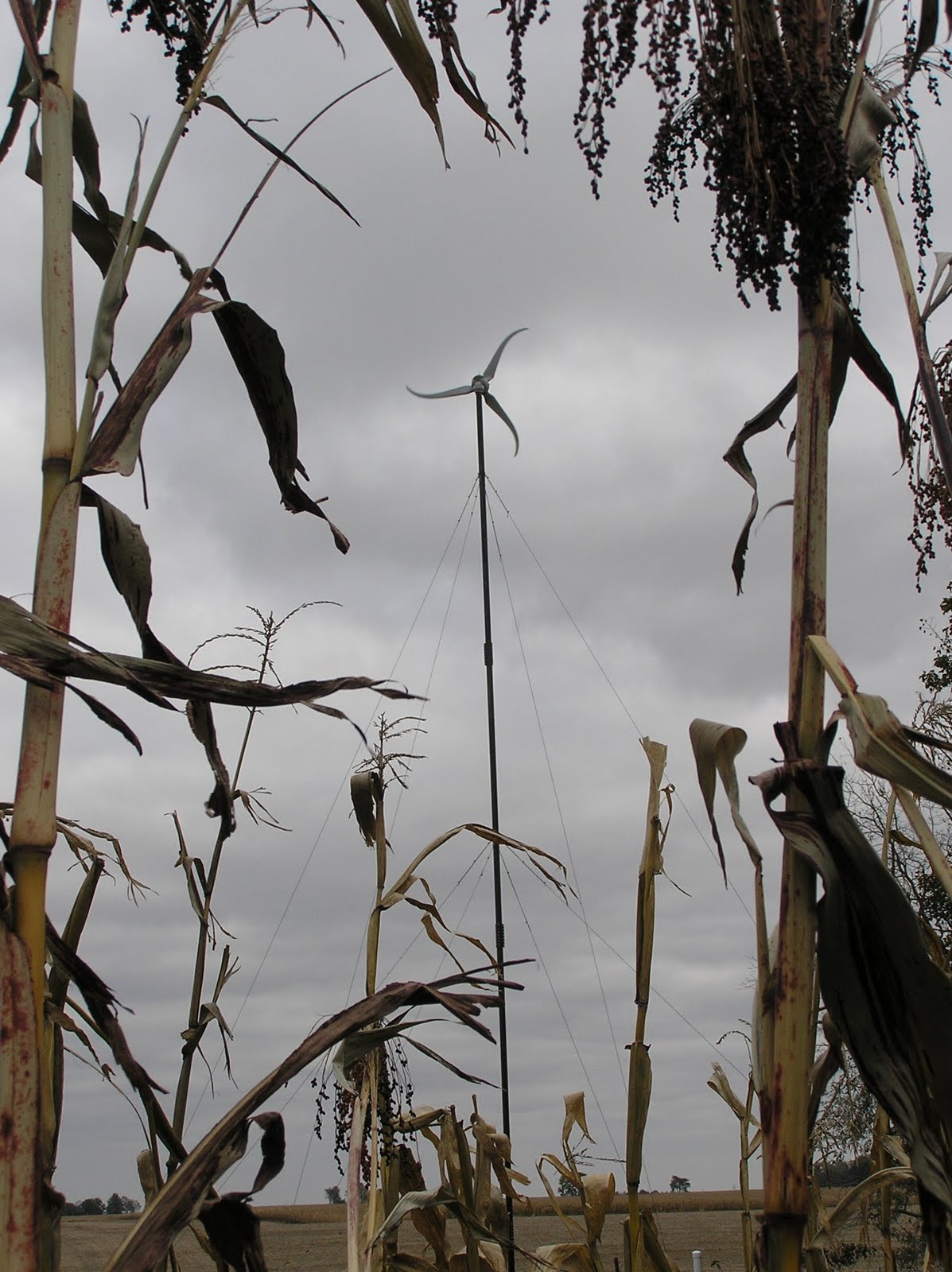 [Runquiest+Barnes+wind+turbine.JPG]