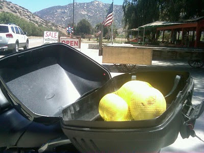 grapefruit inside motorcycle