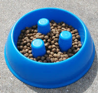 brake-fast doggie bowl