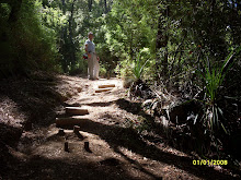 RUIDOS DEL BOSQUE