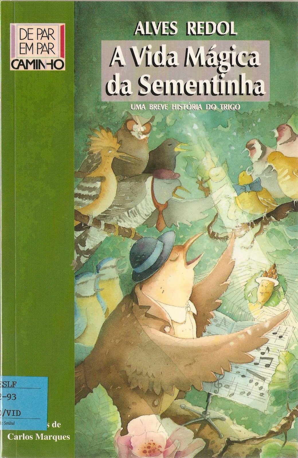 [Sementinha.JPG]
