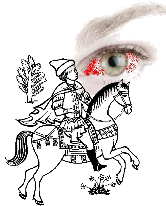 [Imagem1.png]