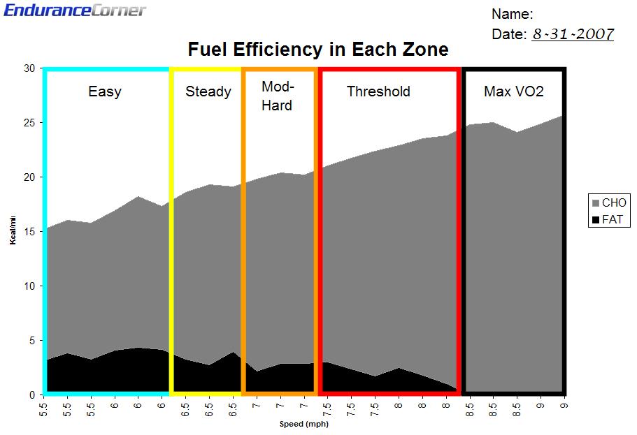 [Transformation1_RUNFUEL.JPG]