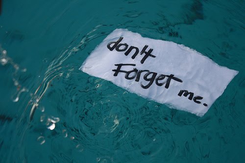 [don't+forget+me]