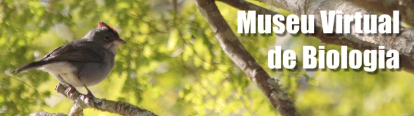 Museu Virtual de Biologia