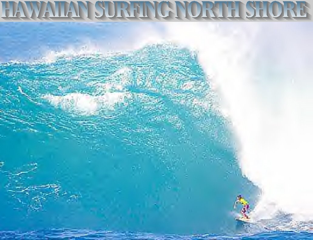 HAWAIIAN SURFING