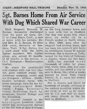 Newspaper article, Dad and Taffy