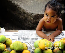 Images by Julie Palencia