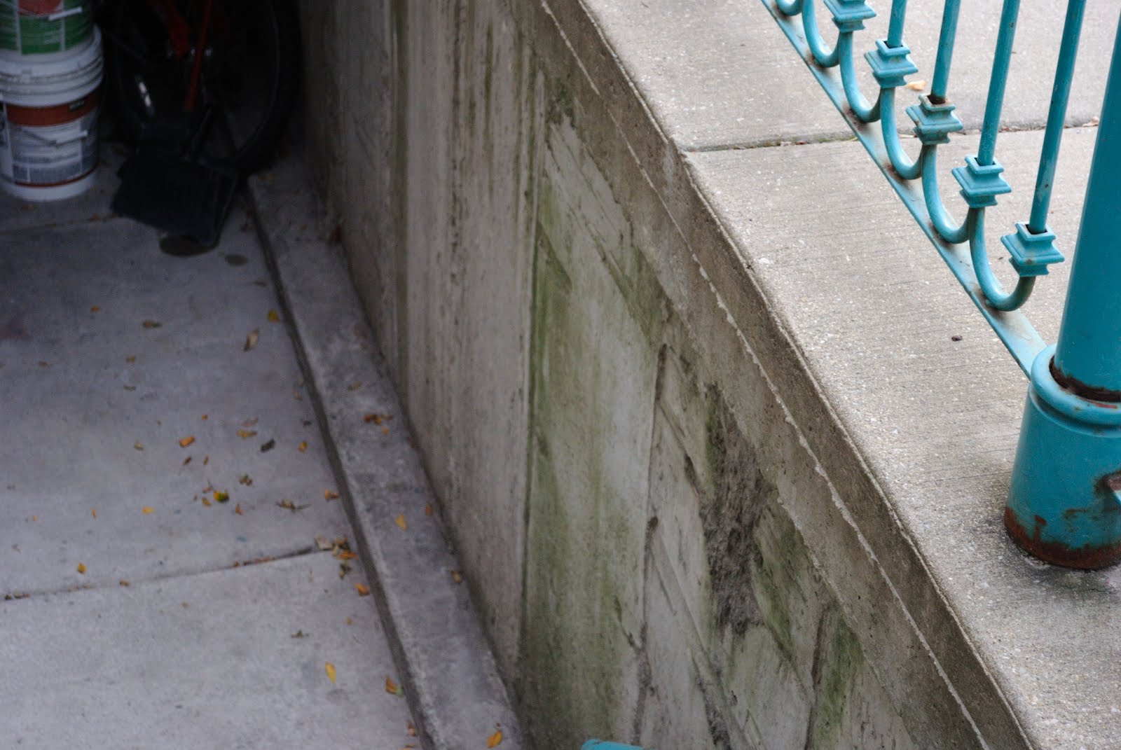 Down to Earth 9 Stories Above Pilsen Sidewalks...