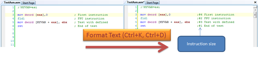 [FormatCodeWithInstructionSize.png]