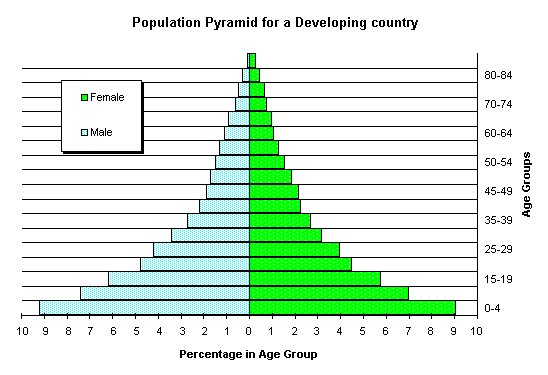 Argentina Population Pyramid
