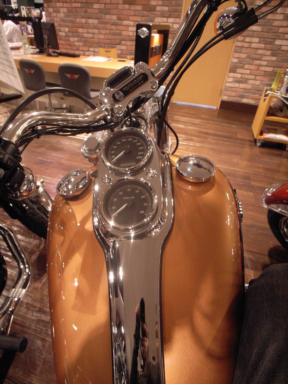 [R0016621.JPG]