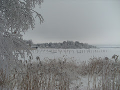 WINTER IN HELSINKI