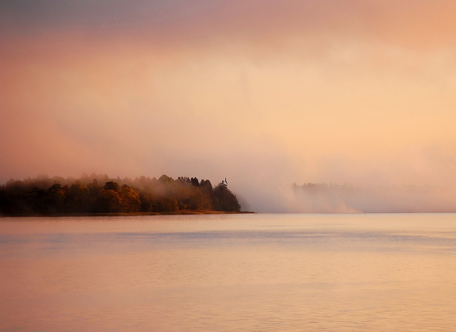 [DSC_31820001_1.JPG]