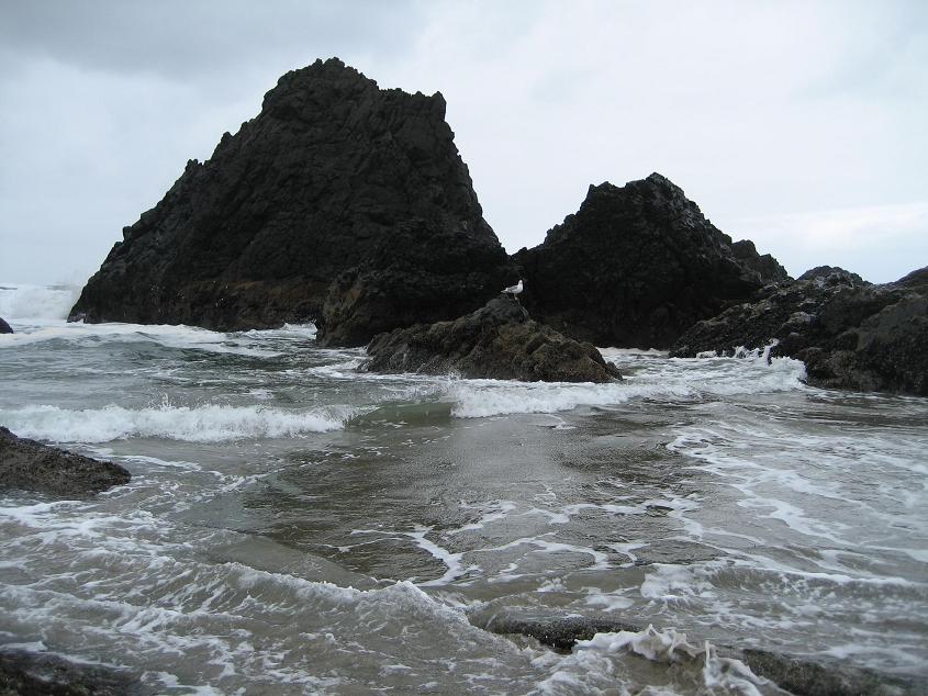 [coast3.JPG]