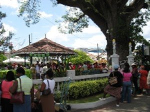 St. Lucia Rose Festival
