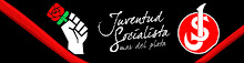 Juventud Socialista Mardel