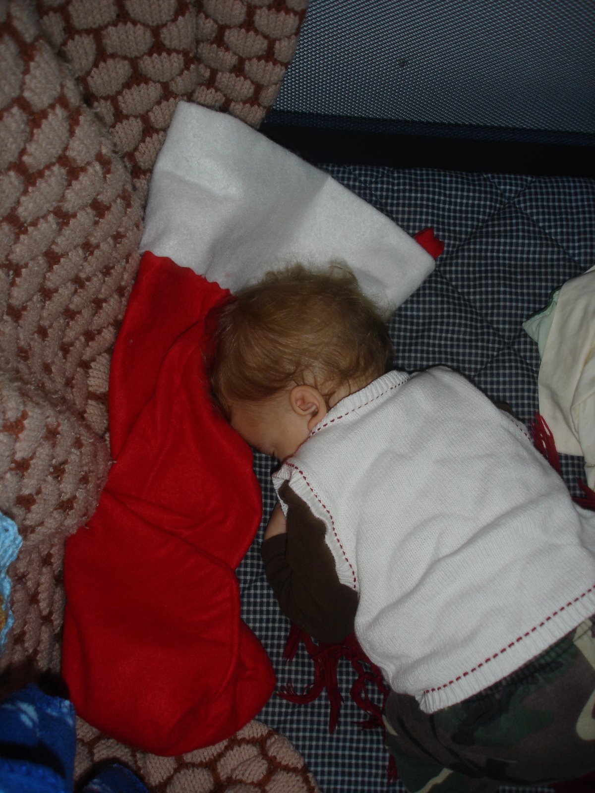 [DSC01668.JPG]