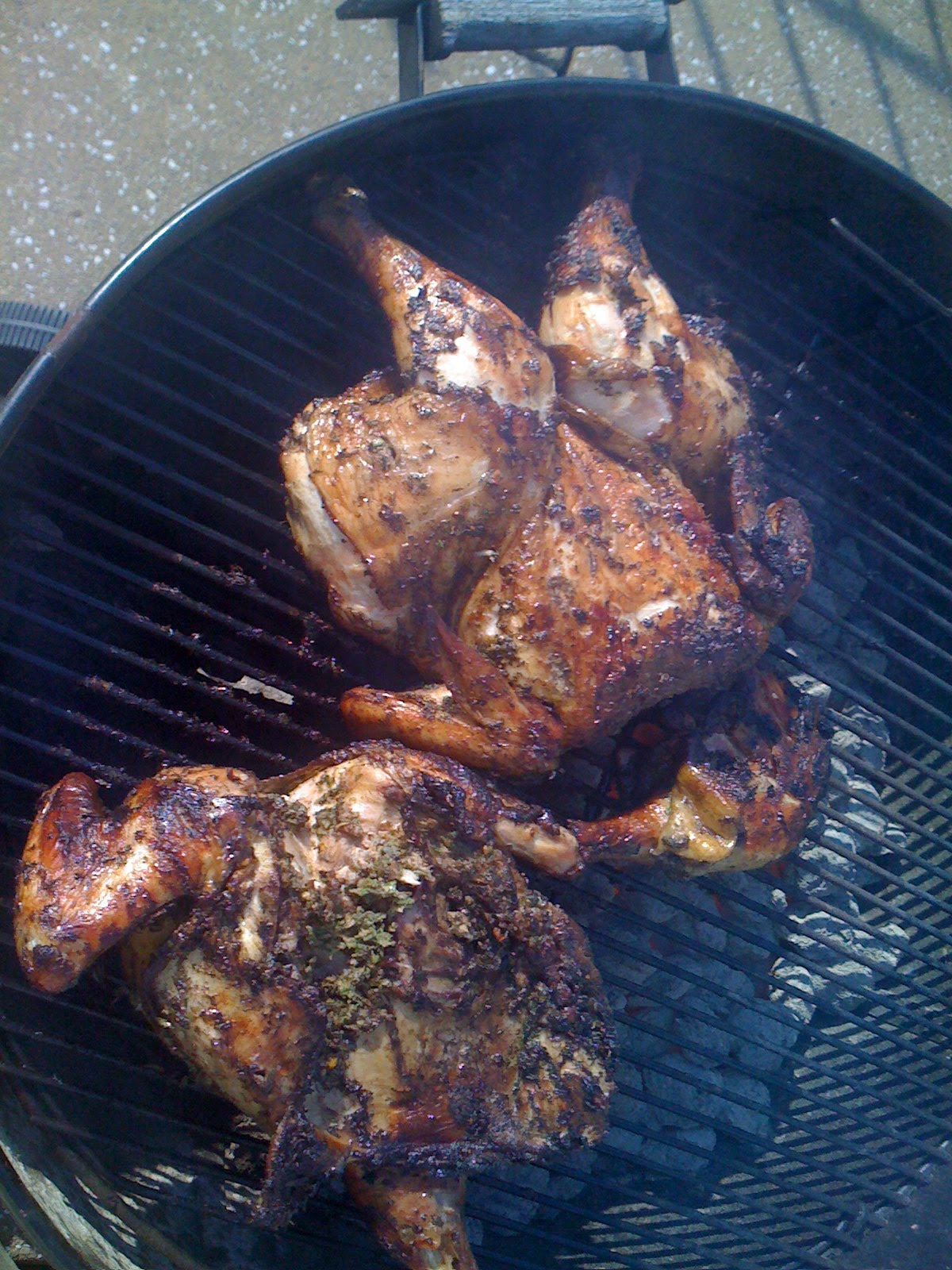 [chix+cooking+indirect.JPG]