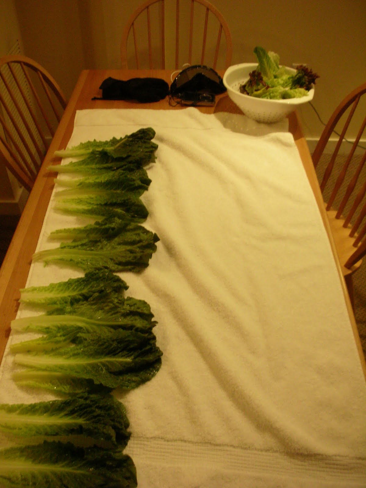 [clean+dry+lettuce.JPG]
