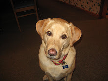 5th Member of our Family