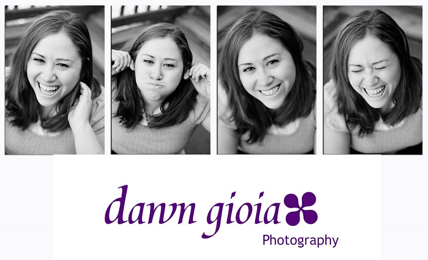 Dawn Gioia Photography