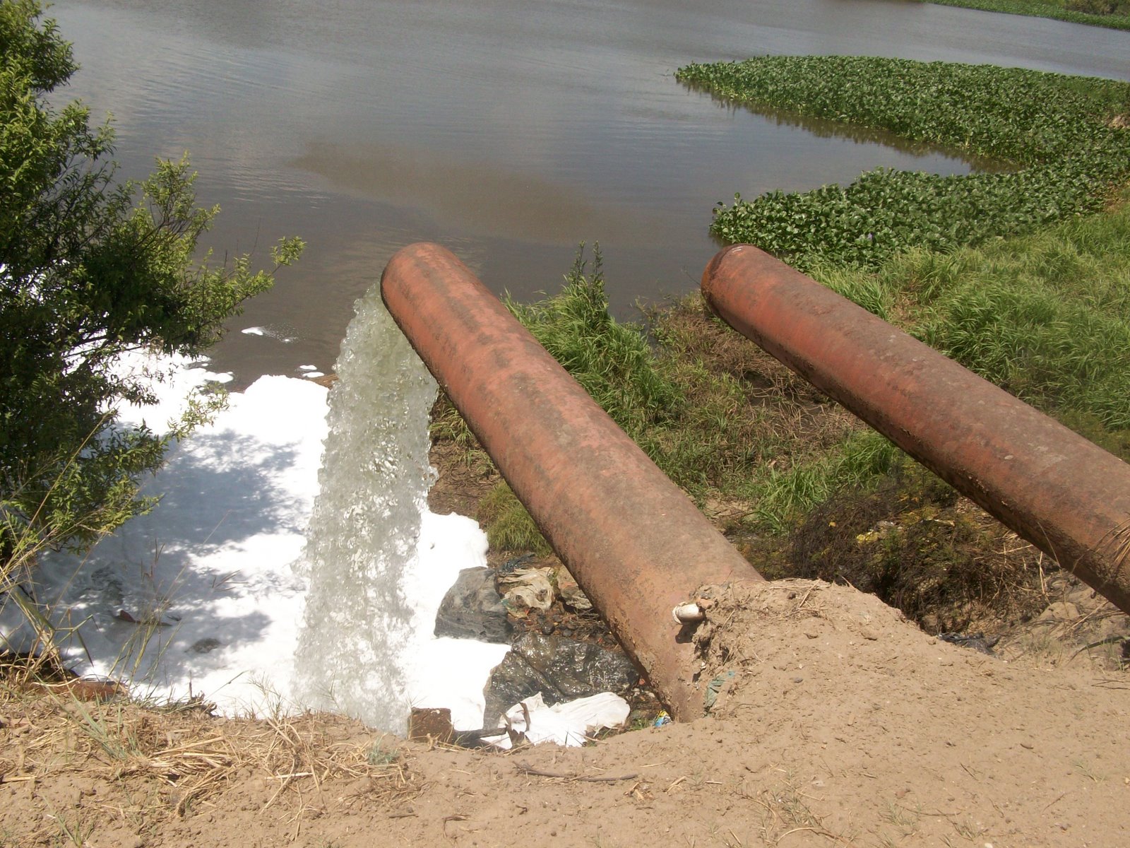 Contaminacion de los Rios
