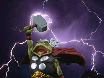 [FrogThunder.gif]