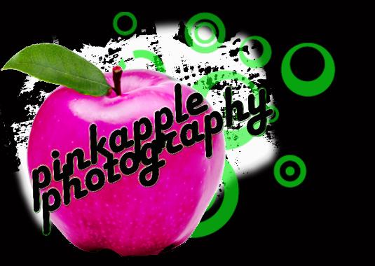 pinkapple photography