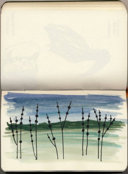 [n669344450_618974_8847.jpg]