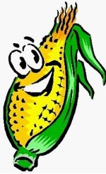 [corn.jpg]