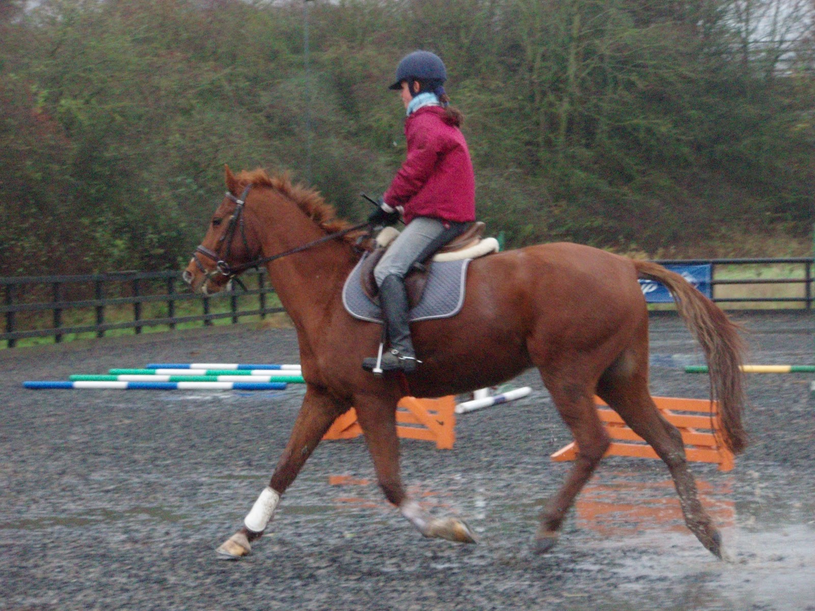 Claire Margreth Professional Horse Rider and Trainer Cheshire ALL