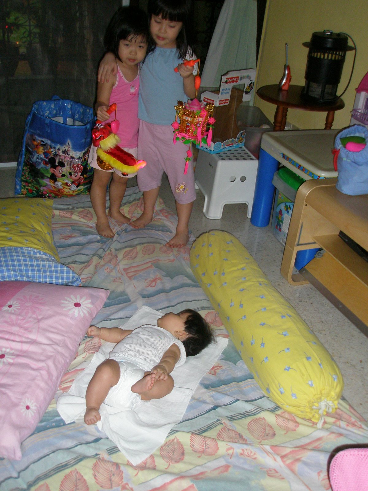 [Lanterns,+fried+salmon+040.jpg]