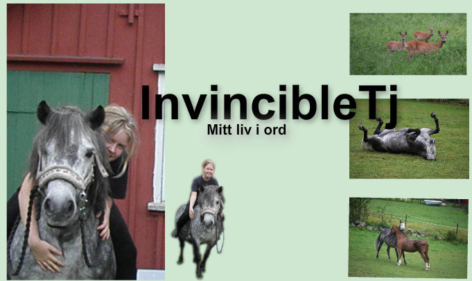 InvincibleTj