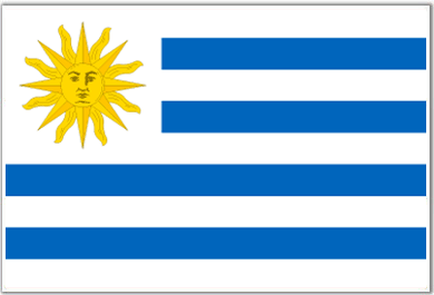[uruguay-flag.gif]