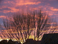 Arizona Sunset