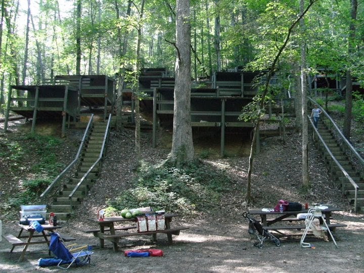 how sweet it is Squirrels nest