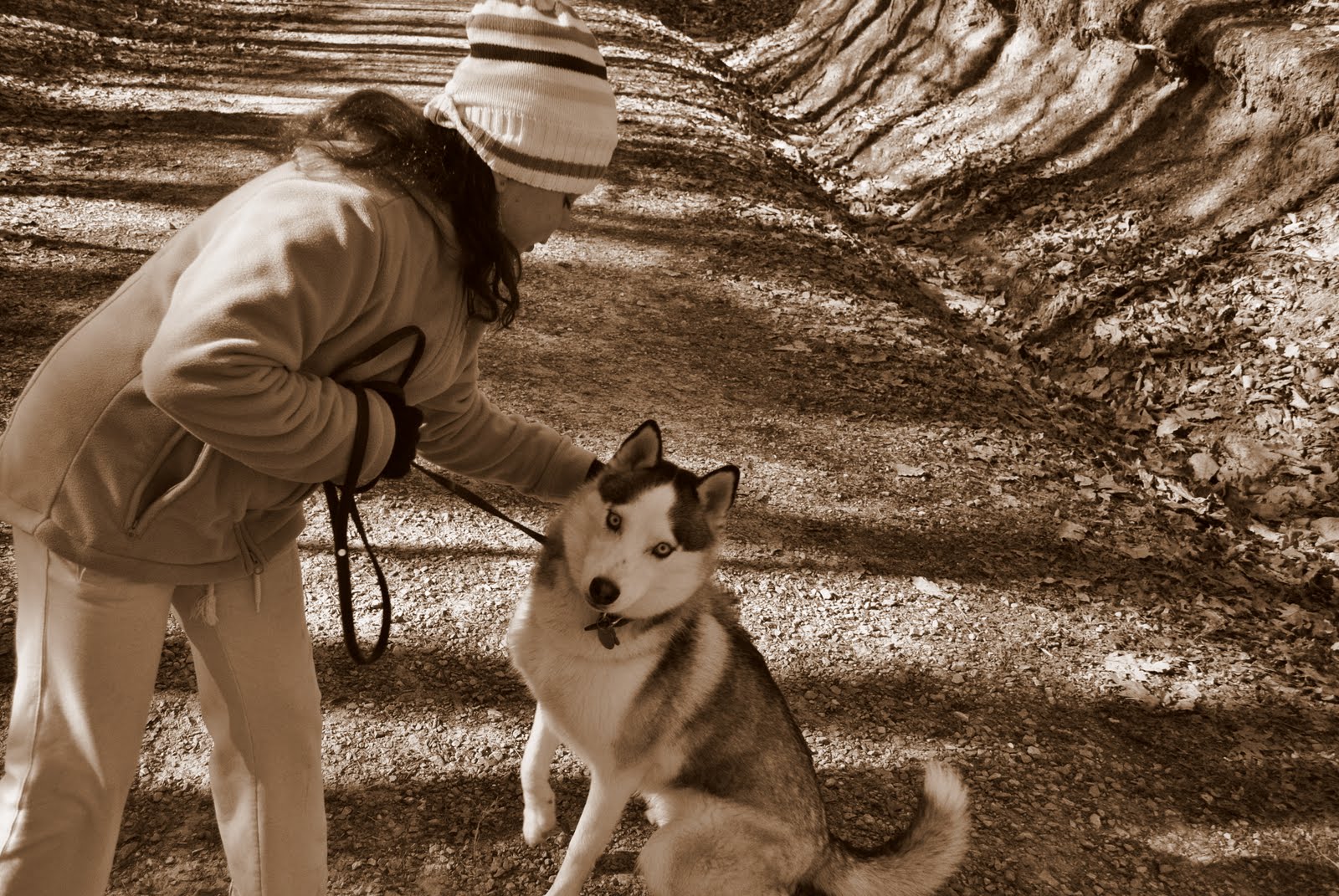 [DSC_0027.JPG]