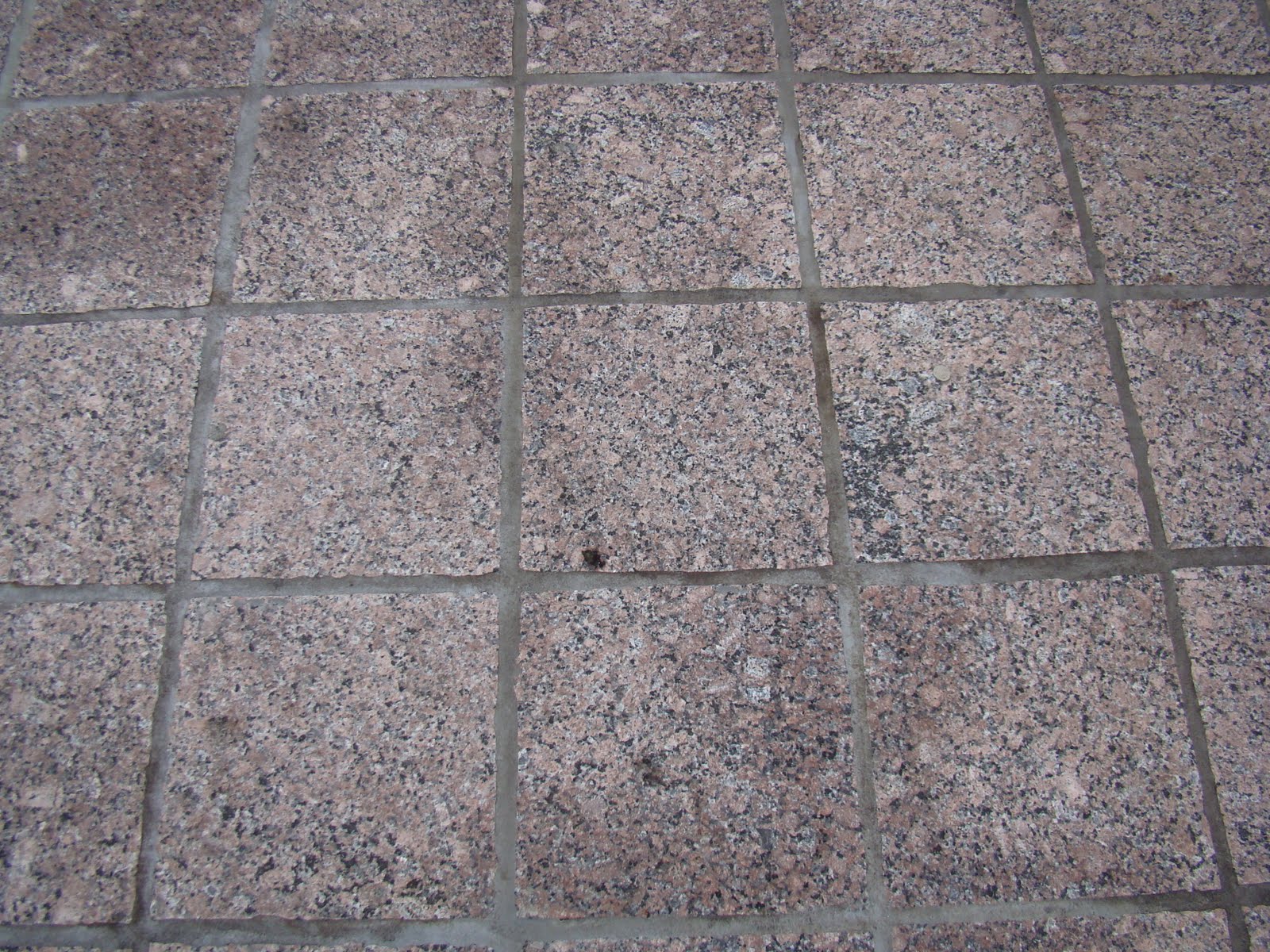 [DSC06039.JPG]