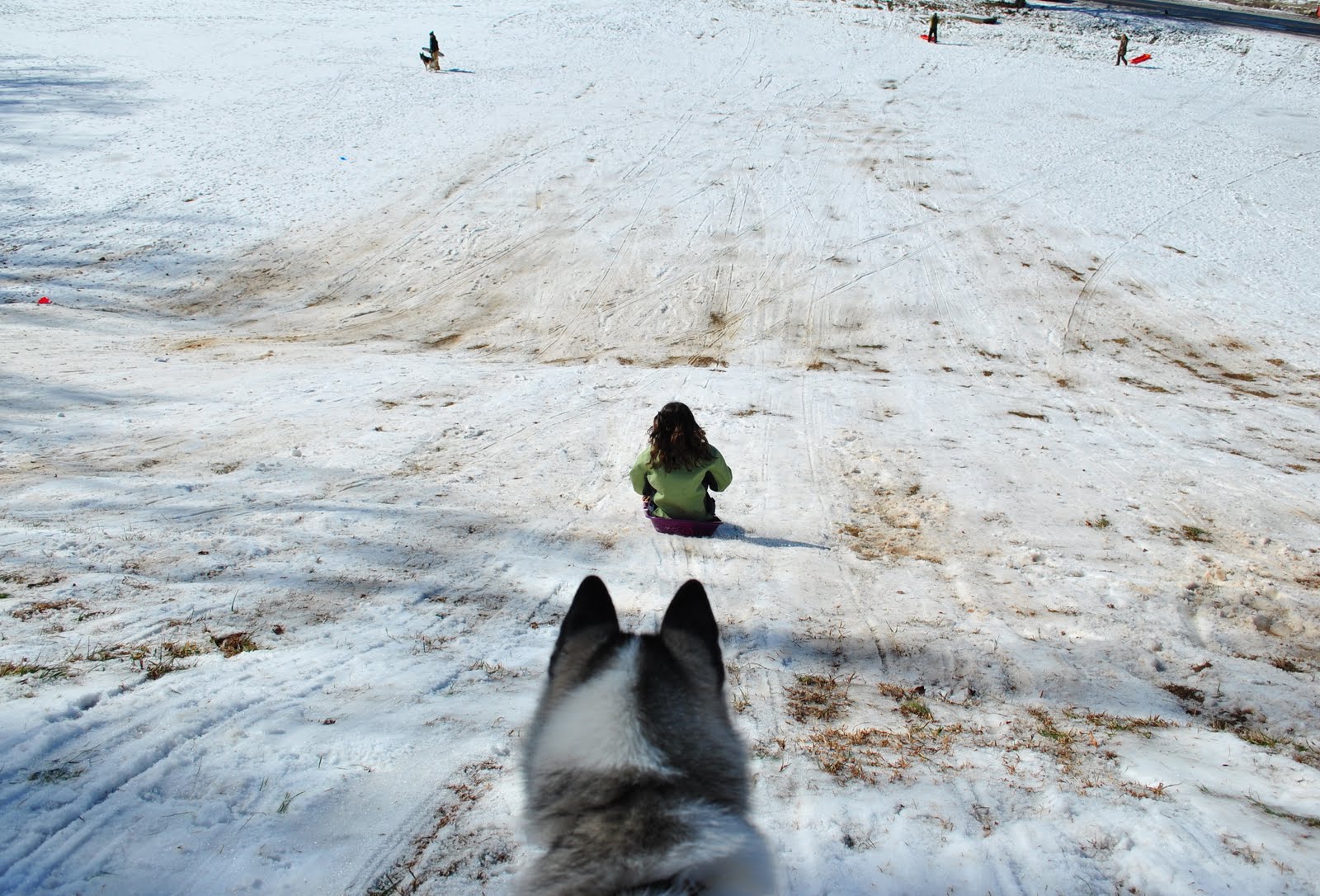 [DSC_0033.JPG]