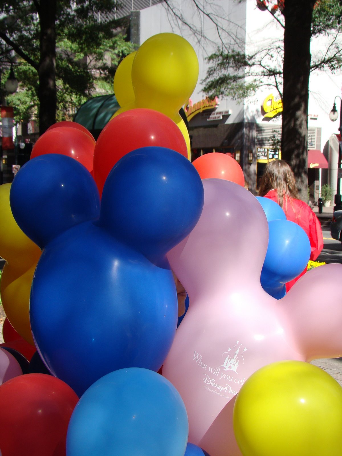 [DSC08640.JPG]