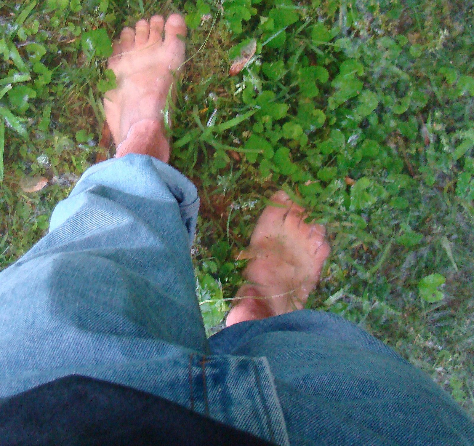 [DSC01886.JPG]